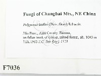 登錄號:F0007036藏品圖，第2張