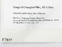 登錄號:F0007037藏品圖，第2張