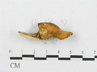 登錄號:F0007037藏品圖，第4張