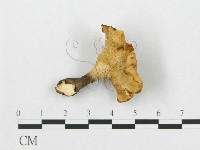 登錄號:F0007038藏品圖，第3張