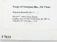 登錄號:F0007039藏品圖，第2張