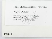 登錄號:F0007040藏品圖，第2張