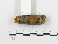 登錄號:F0007040藏品圖，第3張