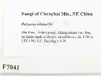 登錄號:F0007041藏品圖，第2張