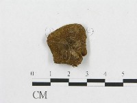 登錄號:F0007041藏品圖，第4張