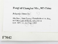 登錄號:F0007042藏品圖，第2張