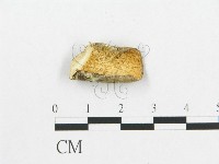 登錄號:F0007042藏品圖，第3張