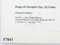 登錄號:F0007043藏品圖，第2張