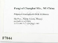 登錄號:F0007044藏品圖，第2張