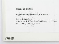 登錄號:F0007045藏品圖，第2張