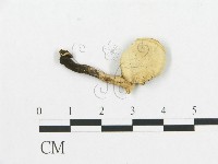 登錄號:F0007045藏品圖，第3張