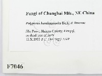 登錄號:F0007046藏品圖，第2張