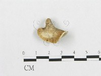 登錄號:F0007046藏品圖，第3張