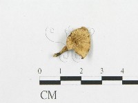 登錄號:F0007047藏品圖，第1張