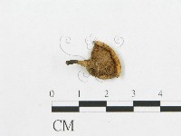 登錄號:F0007047藏品圖，第3張