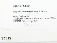 登錄號:F0007048藏品圖，第2張