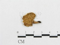 登錄號:F0007048藏品圖，第1張