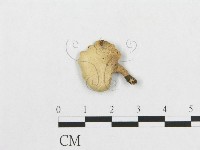 登錄號:F0007048藏品圖，第3張