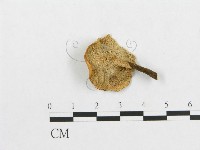 登錄號:F0007049藏品圖，第3張