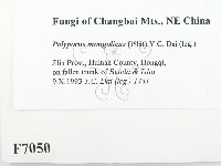 登錄號:F0007050藏品圖，第2張