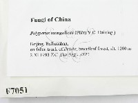 登錄號:F0007051藏品圖，第2張