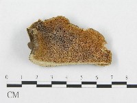 登錄號:F0007051藏品圖，第1張