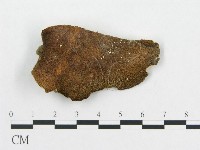 登錄號:F0007051藏品圖，第3張