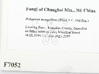 登錄號:F0007052藏品圖，第2張