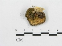 登錄號:F0007052藏品圖，第3張