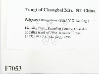 登錄號:F0007053藏品圖，第2張