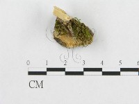 登錄號:F0007053藏品圖，第3張