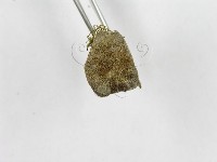 登錄號:F0007053藏品圖，第4張