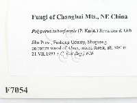 登錄號:F0007054藏品圖，第2張