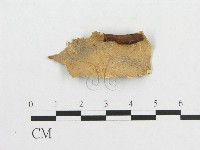 登錄號:F0007054藏品圖，第1張