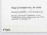 登錄號:F0007055藏品圖，第2張