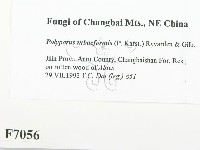 登錄號:F0007056藏品圖，第2張