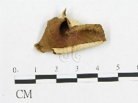 登錄號:F0007056藏品圖，第1張