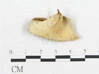 登錄號:F0007056藏品圖，第4張