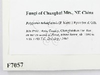 登錄號:F0007057藏品圖，第2張