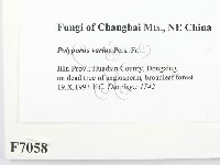 登錄號:F0007058藏品圖，第2張