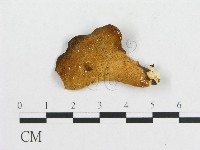 登錄號:F0007058藏品圖，第1張