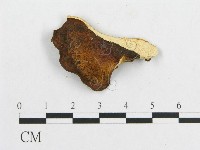 登錄號:F0007058藏品圖，第3張