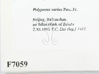 登錄號:F0007059藏品圖，第2張