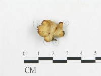 登錄號:F0007059藏品圖，第1張