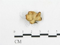 登錄號:F0007059藏品圖，第3張