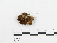 登錄號:F0007059藏品圖，第4張