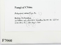 登錄號:F0007060藏品圖，第2張