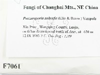 登錄號:F0007061藏品圖，第2張