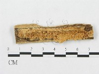登錄號:F0007061藏品圖，第3張