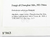 登錄號:F0007063藏品圖，第2張